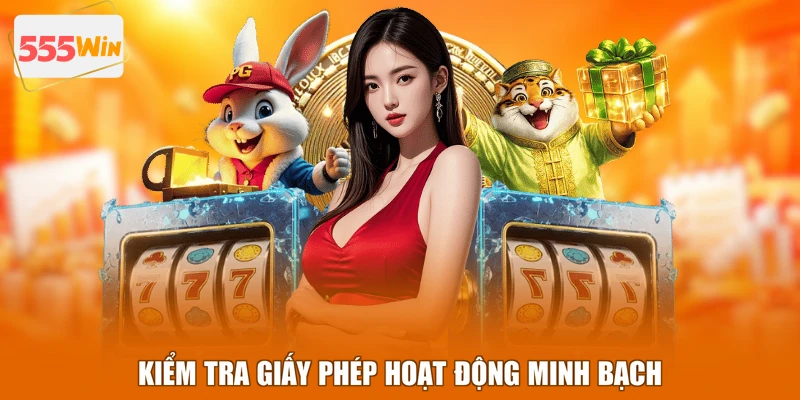 Kiểm tra giấy phép hoạt động minh bạch