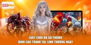 Luật Chơi Đá Gà Thomo - Đỉnh Cao Tranh Tài, Lĩnh Thưởng Ngay