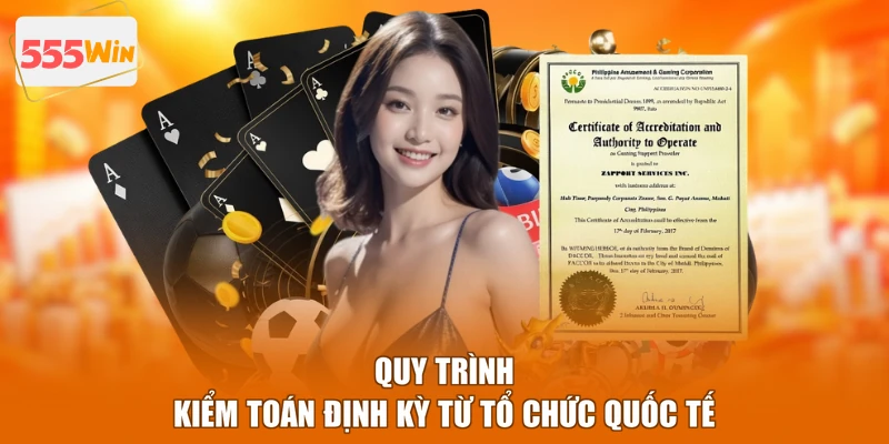 Quy trình kiểm toán định kỳ từ tổ chức quốc tế